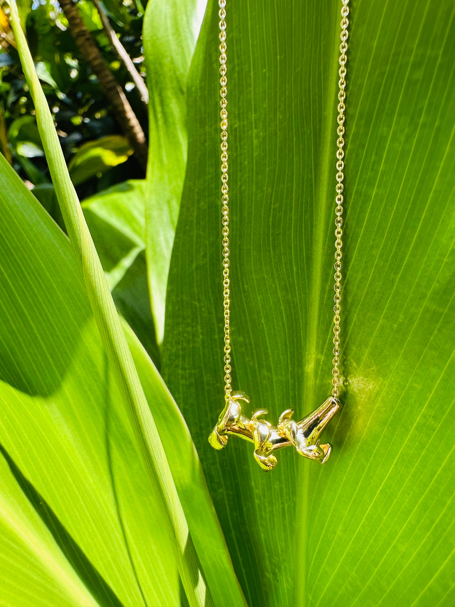 Lehua Hawaii Jewelry LLC
