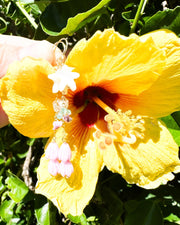 Shell Starfish & Pink Violet Pikake Esrrings