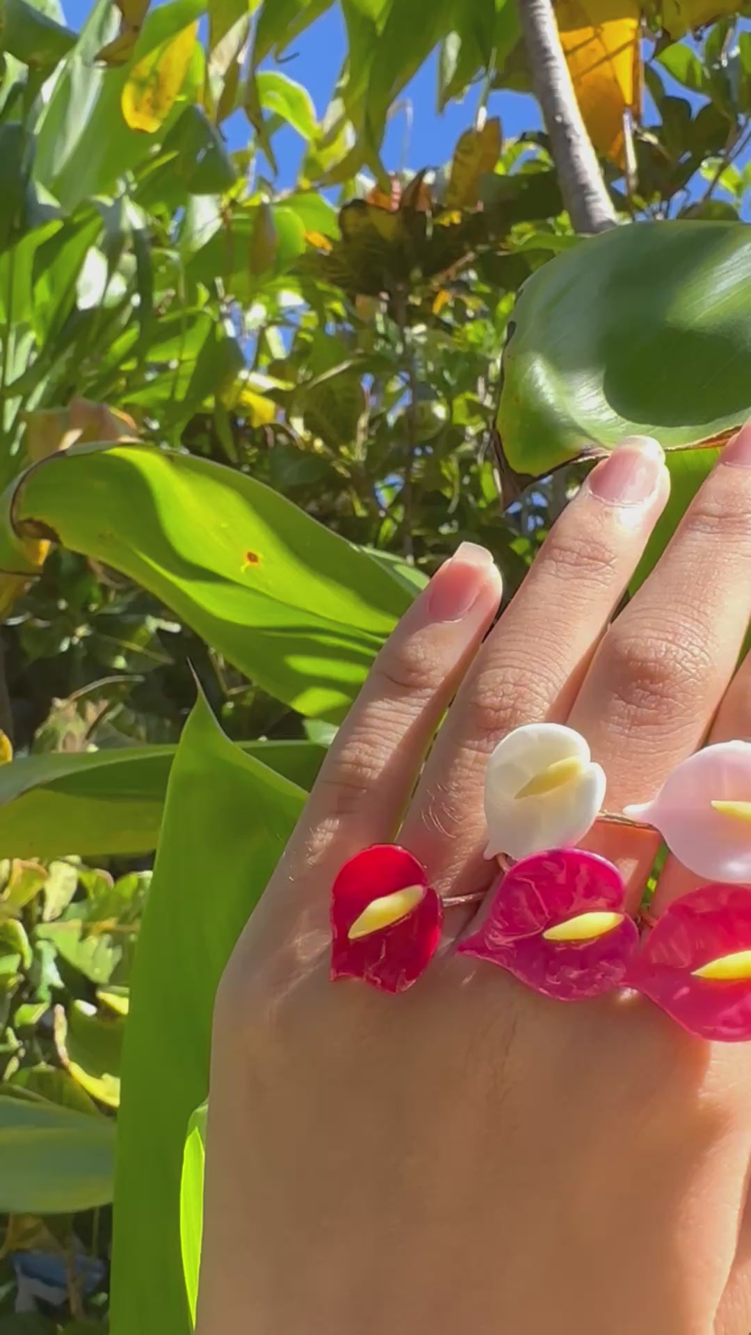 Load video: Mini Anthurium Rings